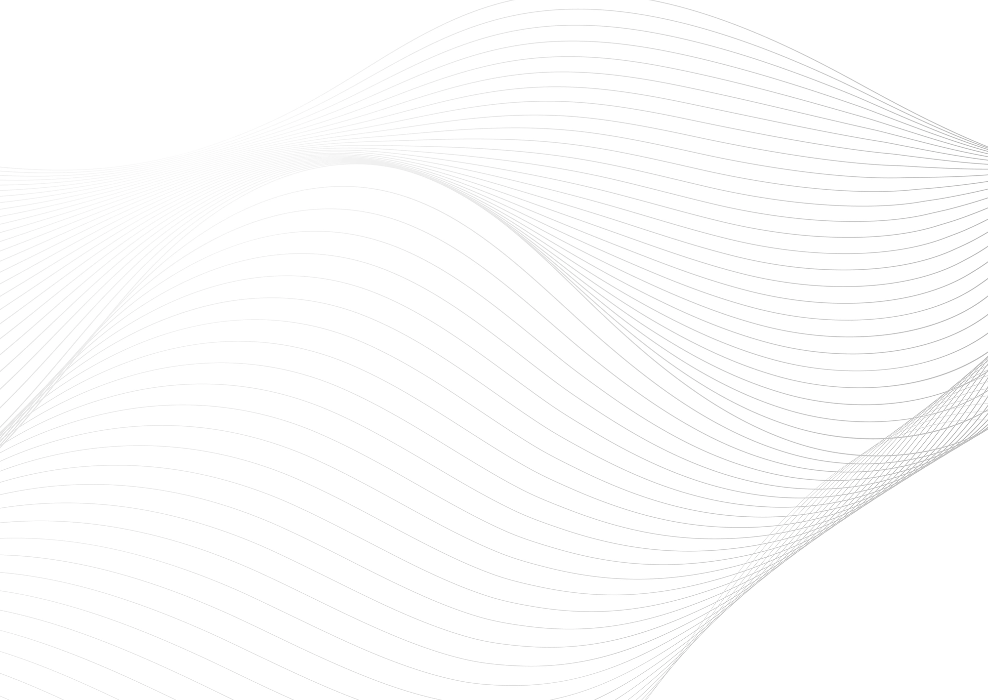 Web Site Tasarımcısı, Sulusaray