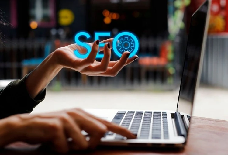 Sulusaray Web Site Tasarımcı